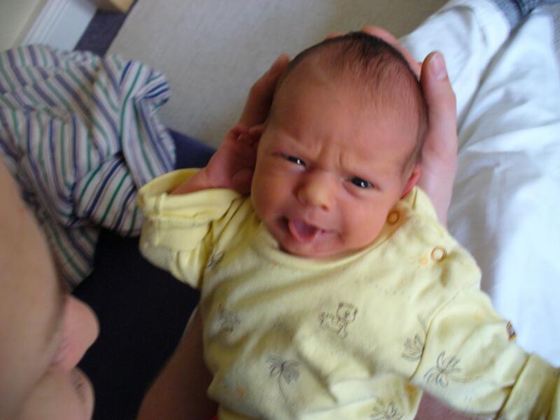 Thompson Creek Metals (Blue Pearl Mng) 101263