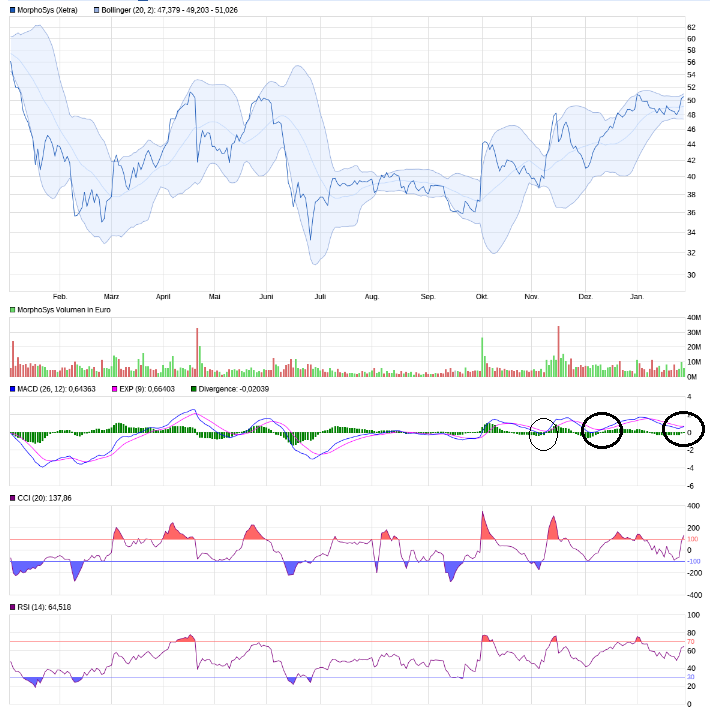 Morpho:Marktreife Partnerprojekte und Meilensteine 967399