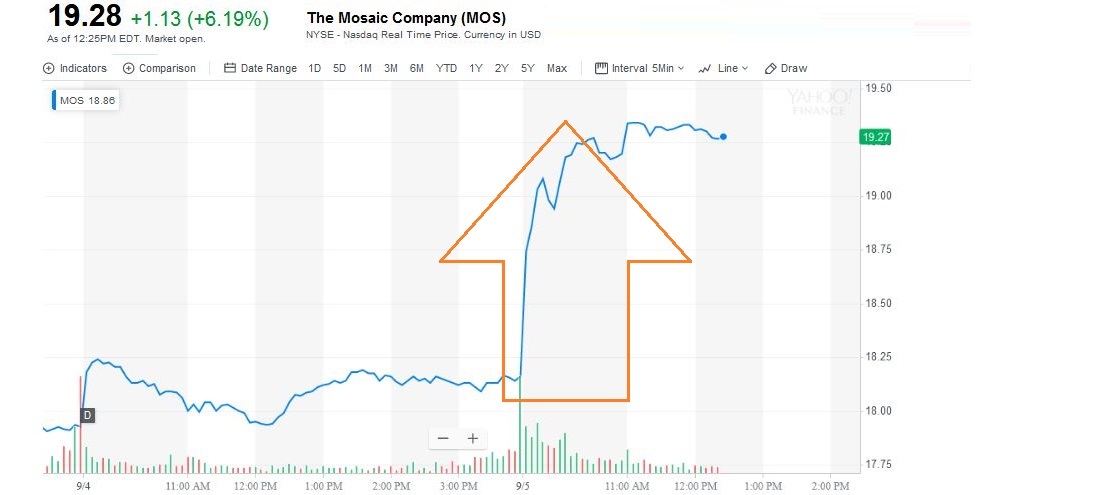 K+S wird unterschätzt 1132353