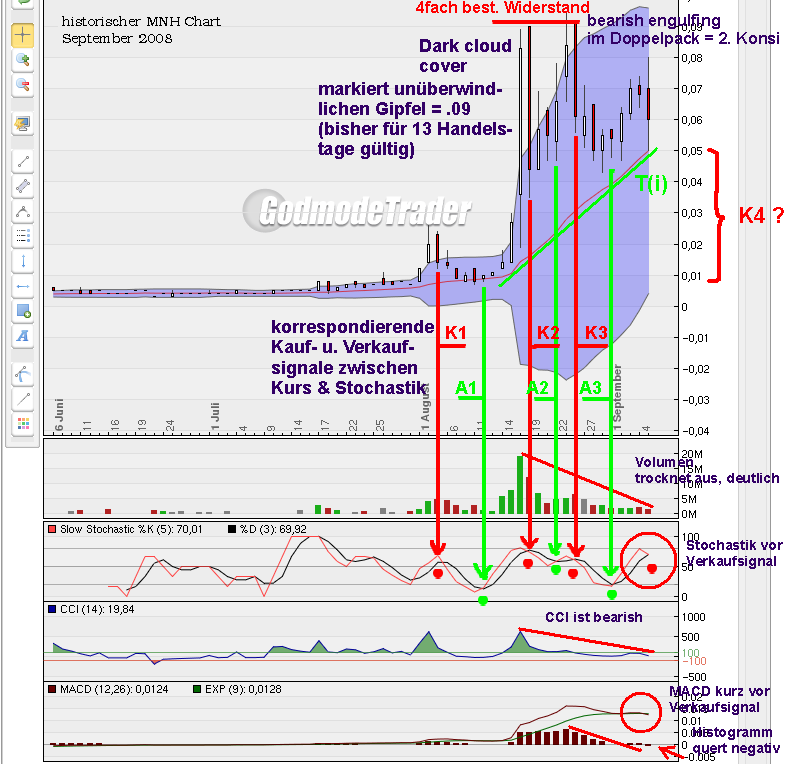 Motion Network TV 359189