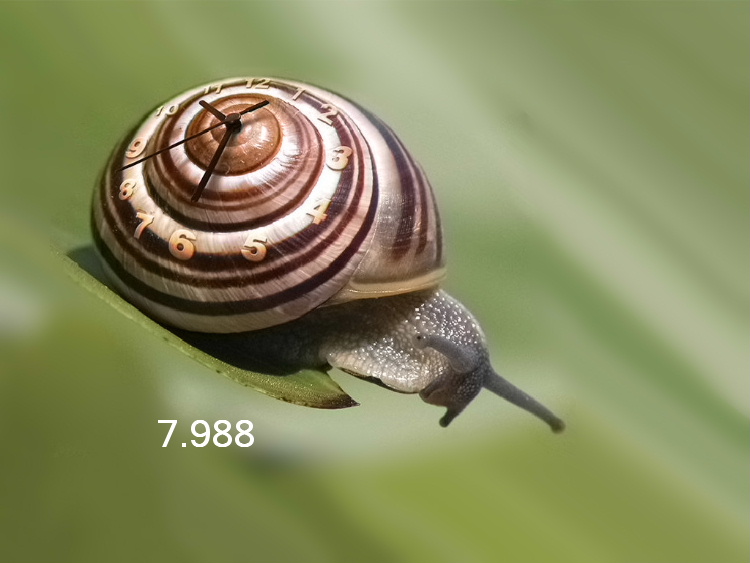 727.DAX Tipp-Spiel, Mittwoch, 20.02.08 149465