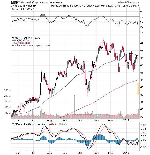 Der USA Bären-Thread 793736
