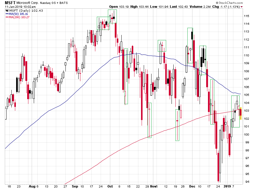 Der USA Bären-Thread 1091134