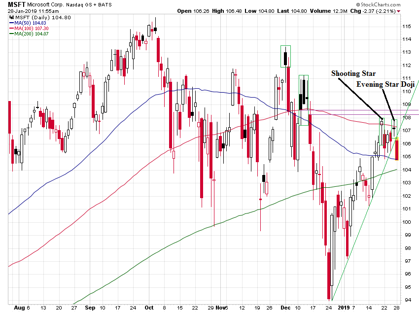 Der USA Bären-Thread 1093627