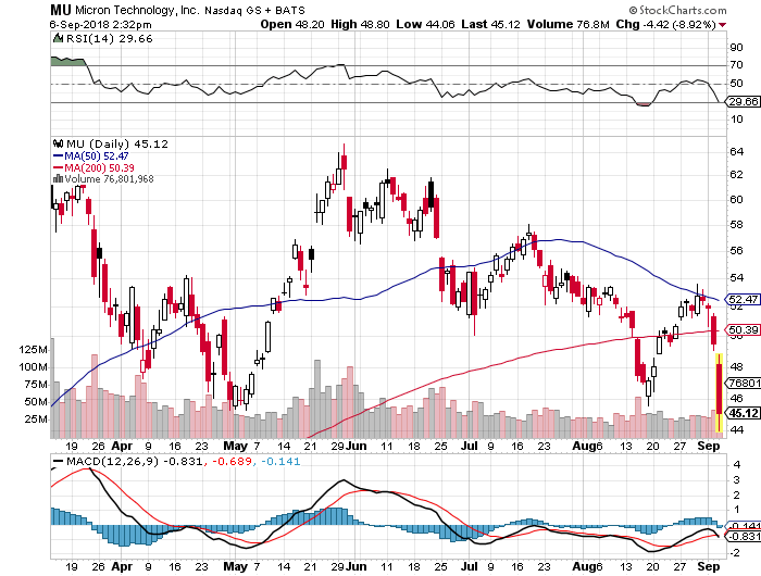 Der USA Bären-Thread 1073002