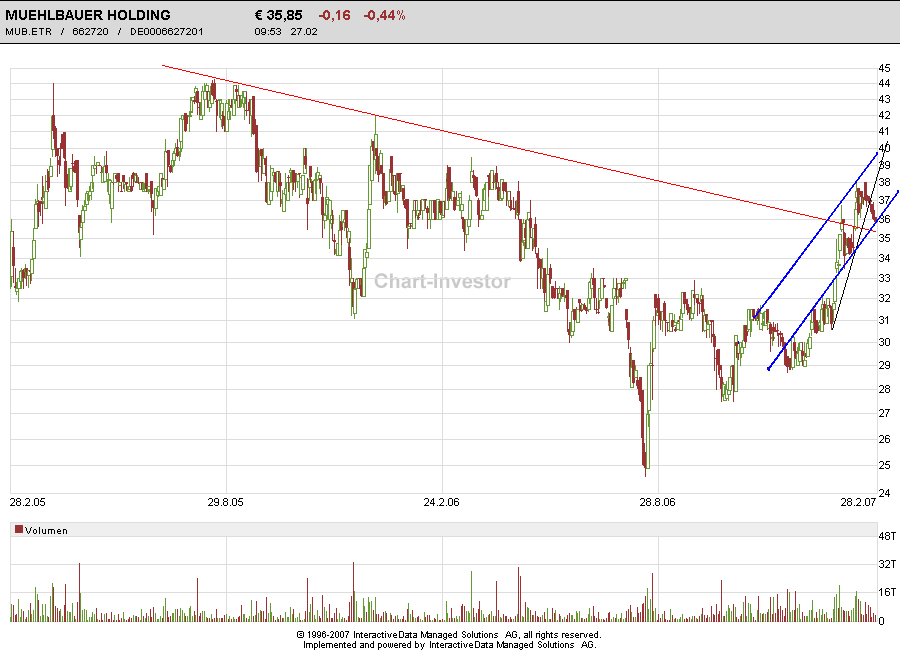 Mühlbauer eine vergessene Perle ! 84820