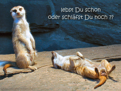 Wacker, eine Kaufgelegenheit 143798