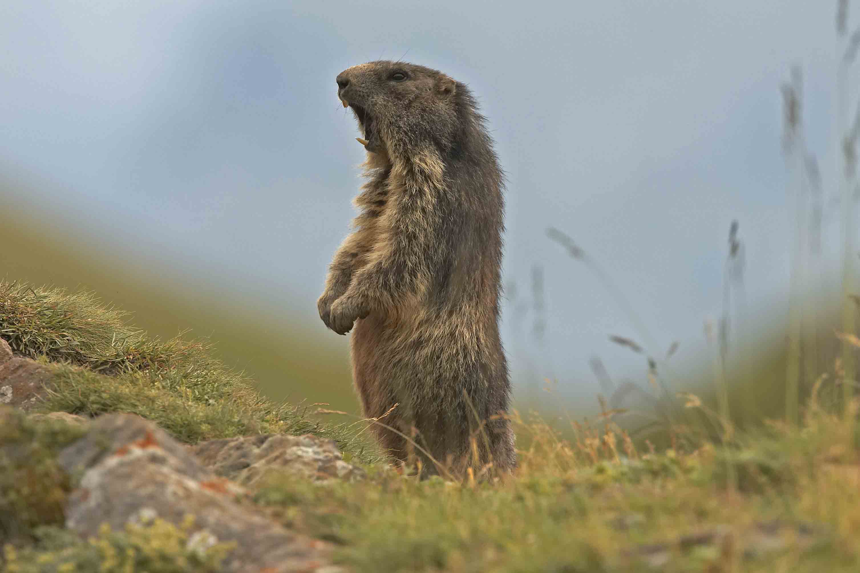 Royal Bank of Scotland 213058