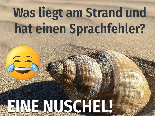 Netcents Technology Thread moderiert A2AFTK 1111749