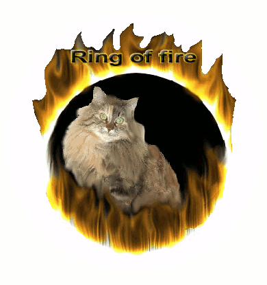 Las Vegas Sands......beobachten 253462