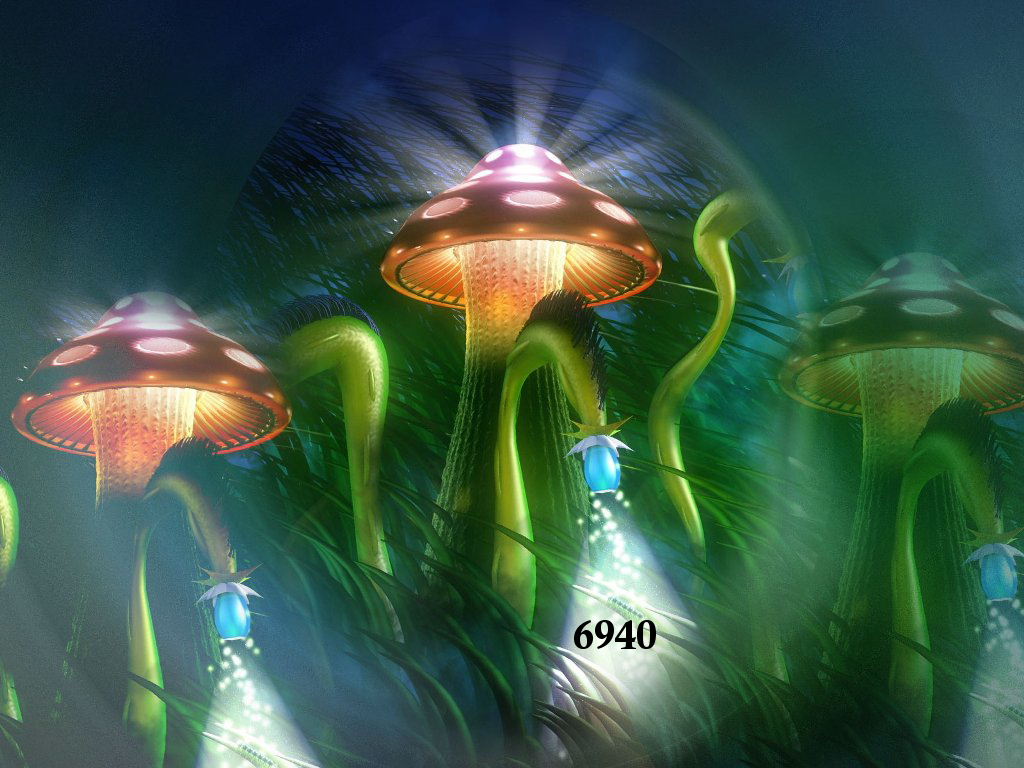 1.457.DAX Tipp-Spiel, Dienstag, 04.01.2011 370199