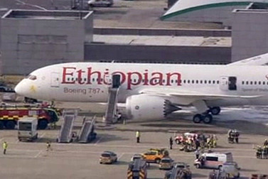 Der USA Bären-Thread 623723