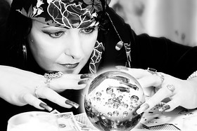 Der USA Bären-Thread 677545