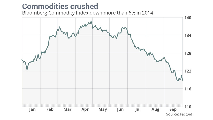 Der USA Bären-Thread 760997