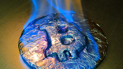 Der USA Bären-Thread 1027250