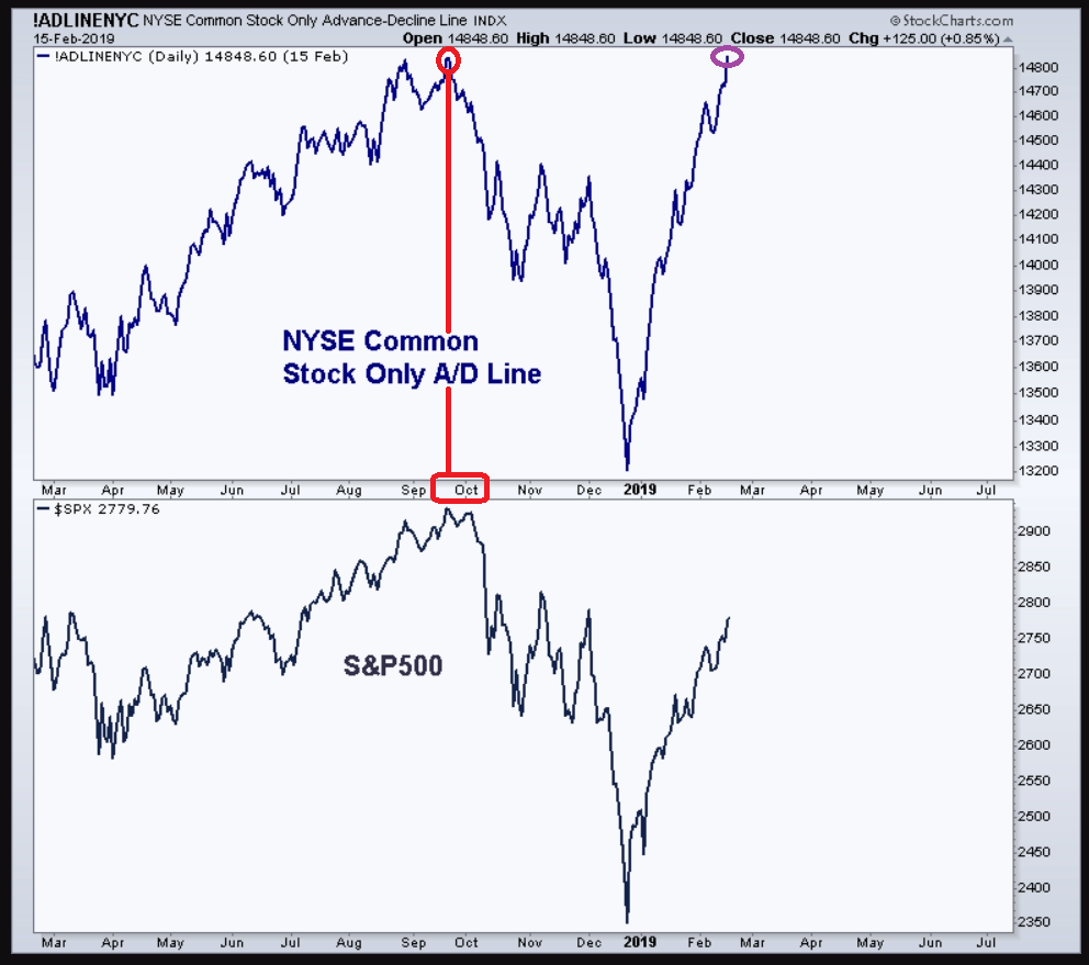 Der USA Bären-Thread 1097909