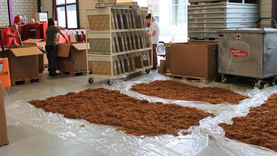 TAAT - Revolution am Tabakmarkt oder heiße Luft? 1217704