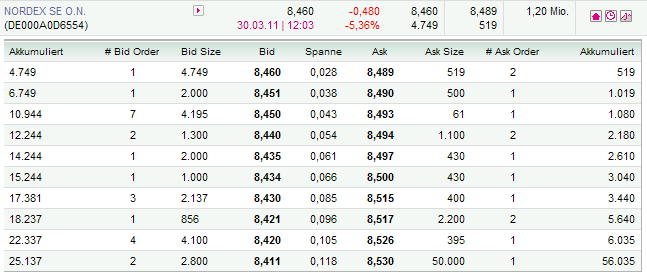 Windmaster Nordex 391916