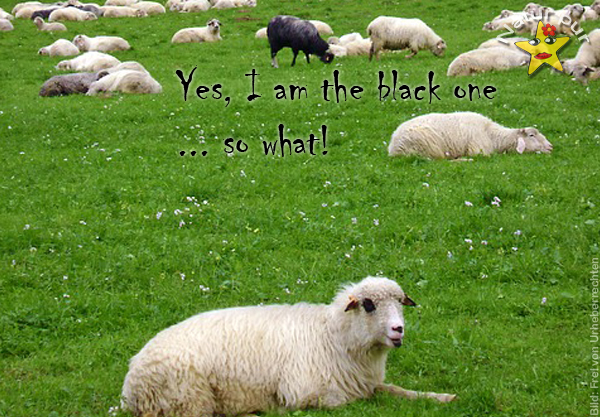 Neschen AG schreibt wieder schwarze Zahlen! 1021531