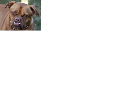 Aqua Society neuer Hype?? 375835