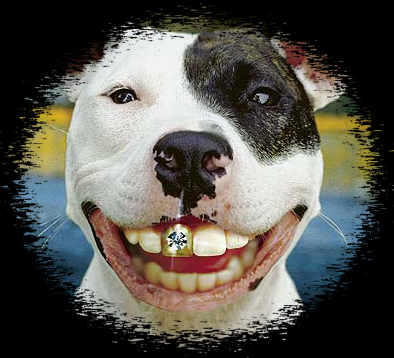 Wenn das Gold redet, dann schweigt die Welt! 270344