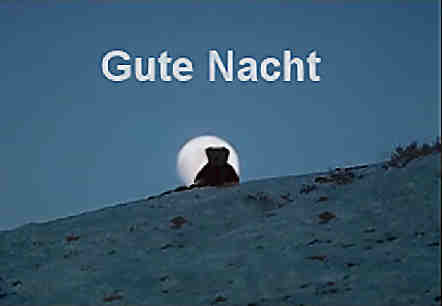 Quo Vadis Dax 2009 235982