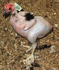 Neuer Thread mit rein sachlichen Beiträgen 469456