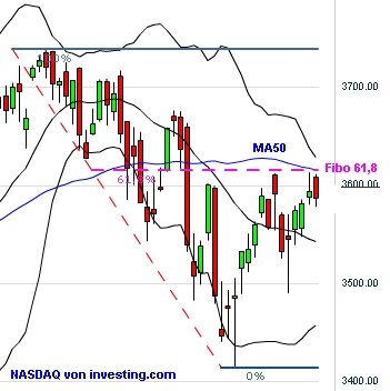 Der USA Bären-Thread 719947