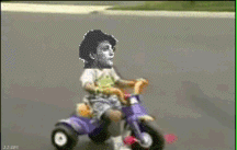 QV ultimate 2012 556596