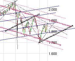Der USA Bären-Thread 333671