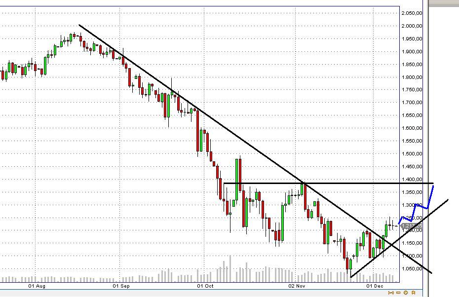 15% Jahresendrally 2008 204836