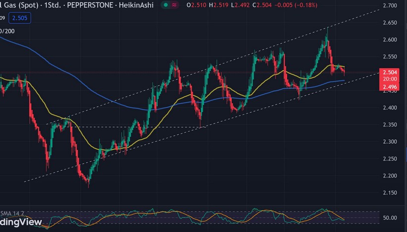 US Natural Gas 1404478