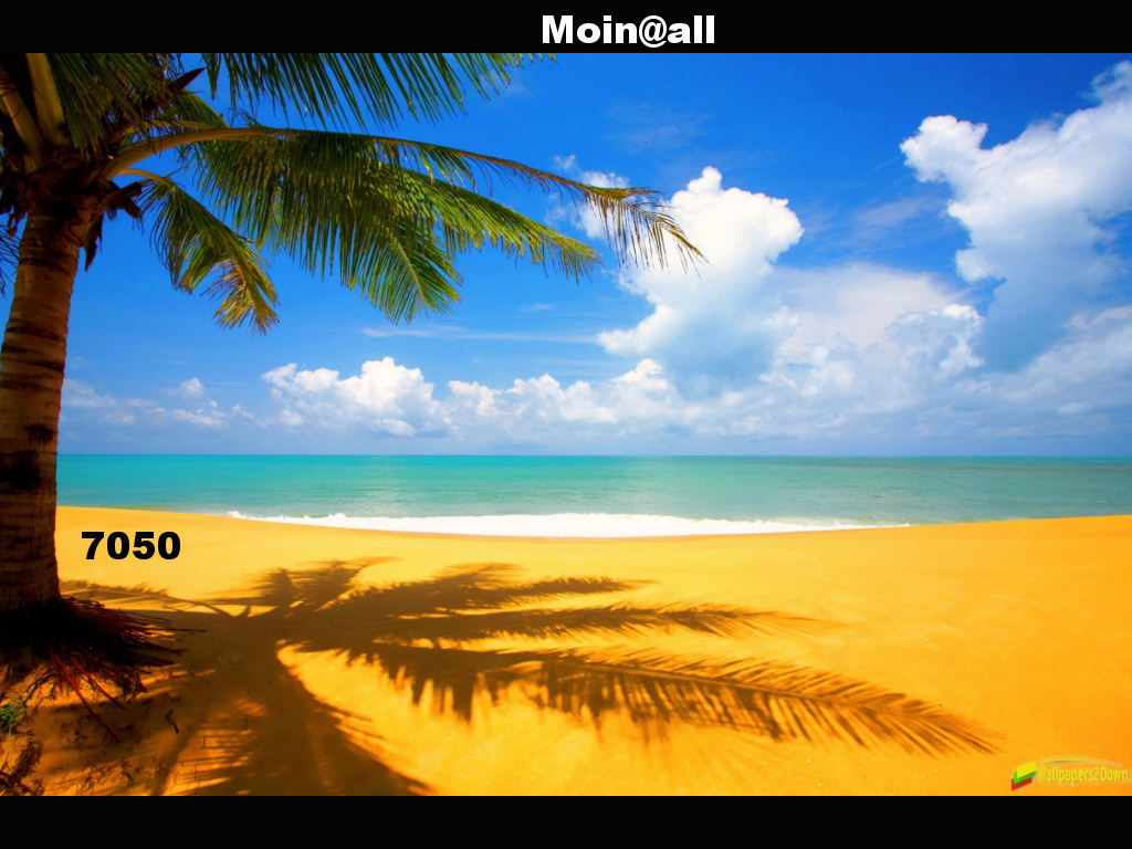 1.444.DAX Tipp-Spiel, Dienstag, 14.12.10 365655