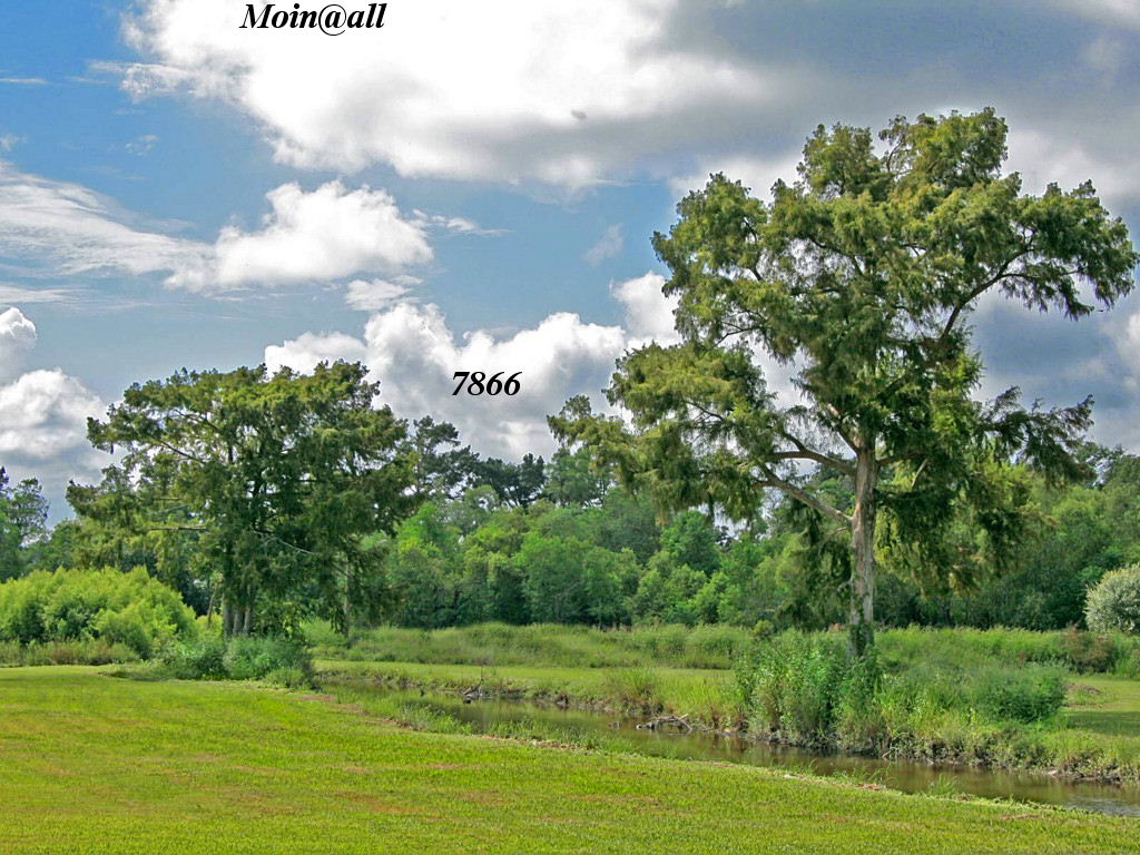 Die Links zu den Sternenkinder (DAX Spiel) 618309