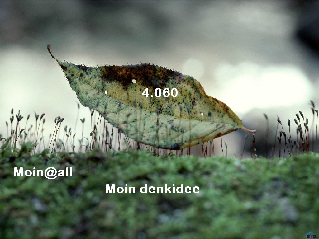 1001.DAX Tipp-Spiel Freitag,20.03.09.17.45 Uhr 223231