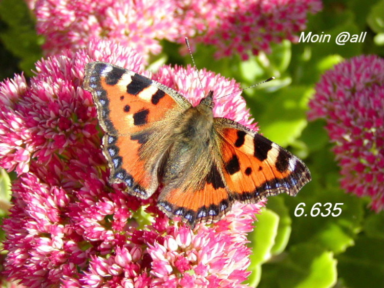 769.DAX Tipp-Spiel, Dienstag, 22.04.08 160642