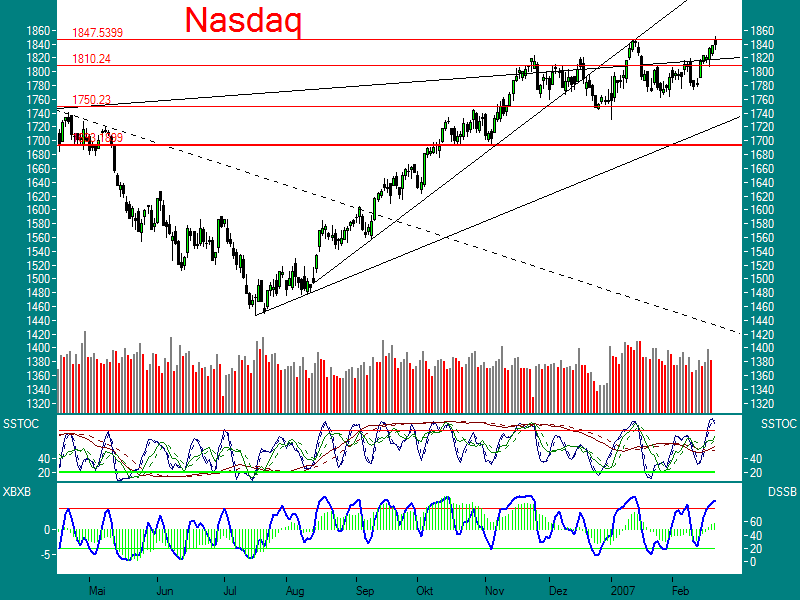 Verderbt den BULLEN die Party nicht. 84117