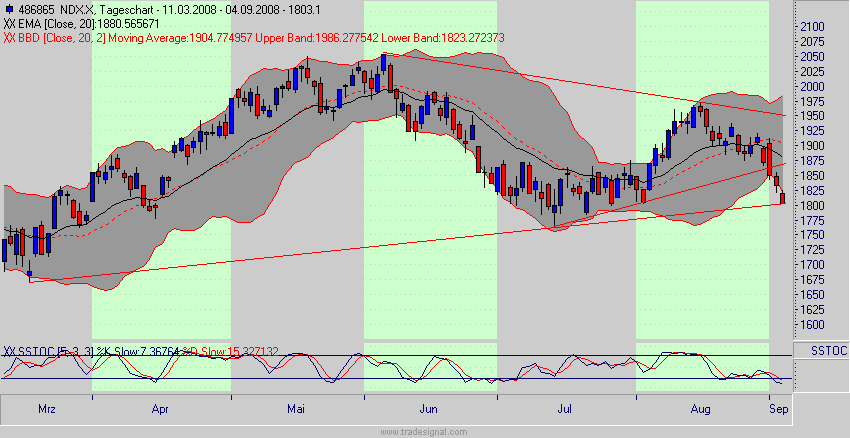 Die Bullen scharren gar nicht mit den Hufen, 184330