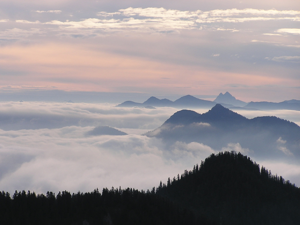 723.DAX Tipp-Spiel, Donnerstag, 14.02.08 148142