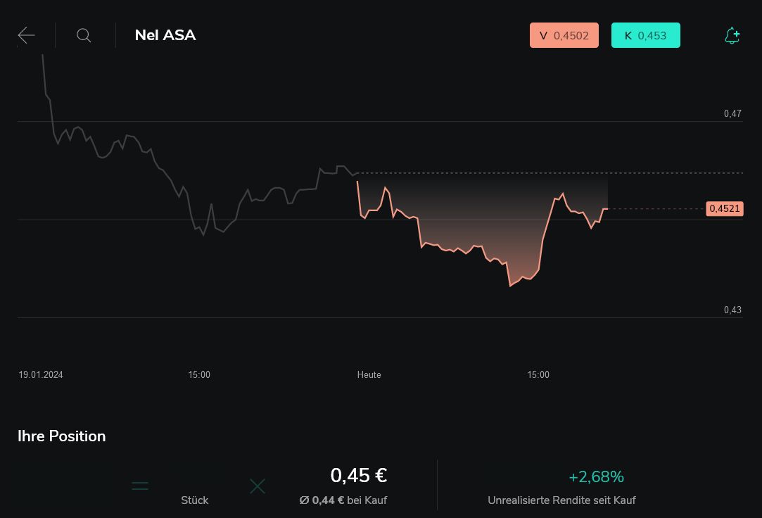 NEL, der Wasserstoffplayer aus Norwegen 1409071