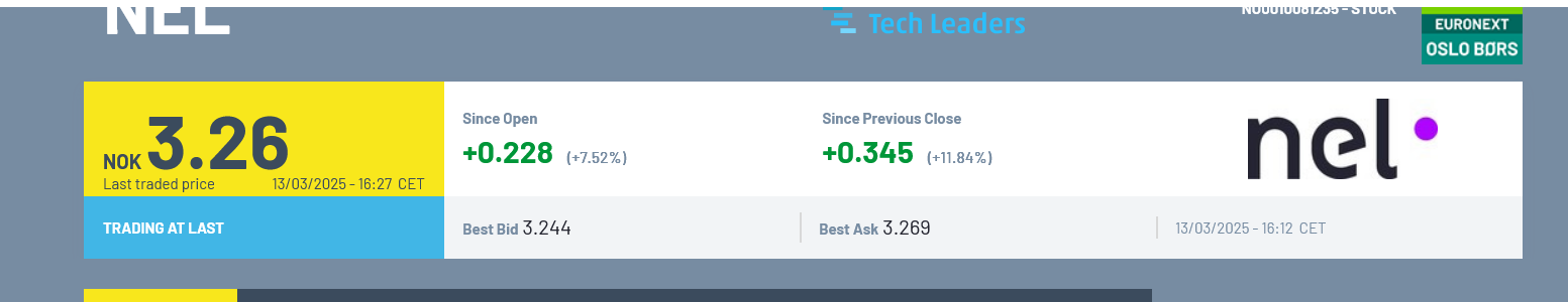 NEL, der Wasserstoffplayer aus Norwegen 1474446