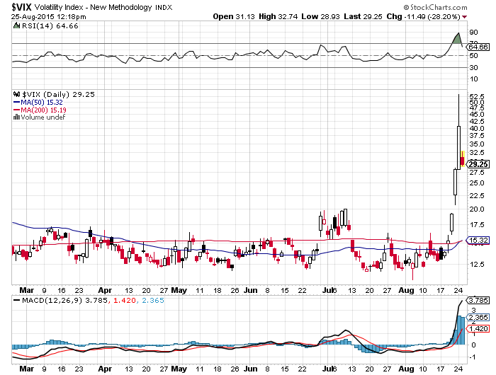 Der USA Bären-Thread 852505