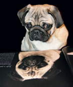 LYCOS EUROPA NV B EO-., 932728 o. T. 109945