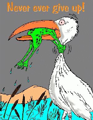 Genta - der letzte Thread 350764