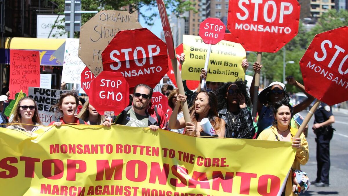 Monsanto-Produkte führen weltweit zu Protesten.