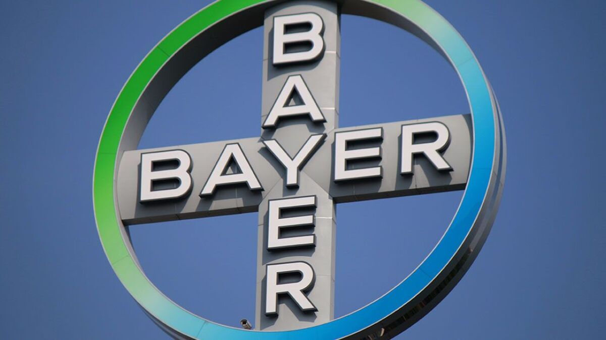 Logo des Bayer-Konzerns
