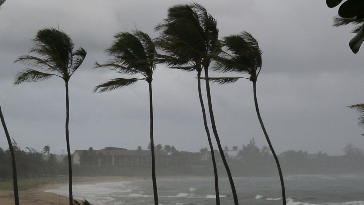 Die Wirbelstürme „Harvey“ und „Irma“ richteten massive Schäden an. (Symbolfoto)
