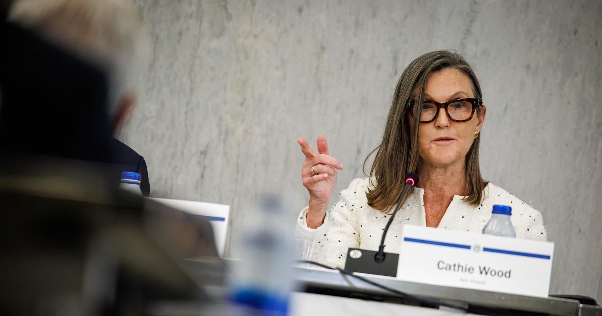 Nvidia verkauft Pharma-Anteile &ndash; Cathie Wood schl&auml;gt zu, was steckt dahinter?