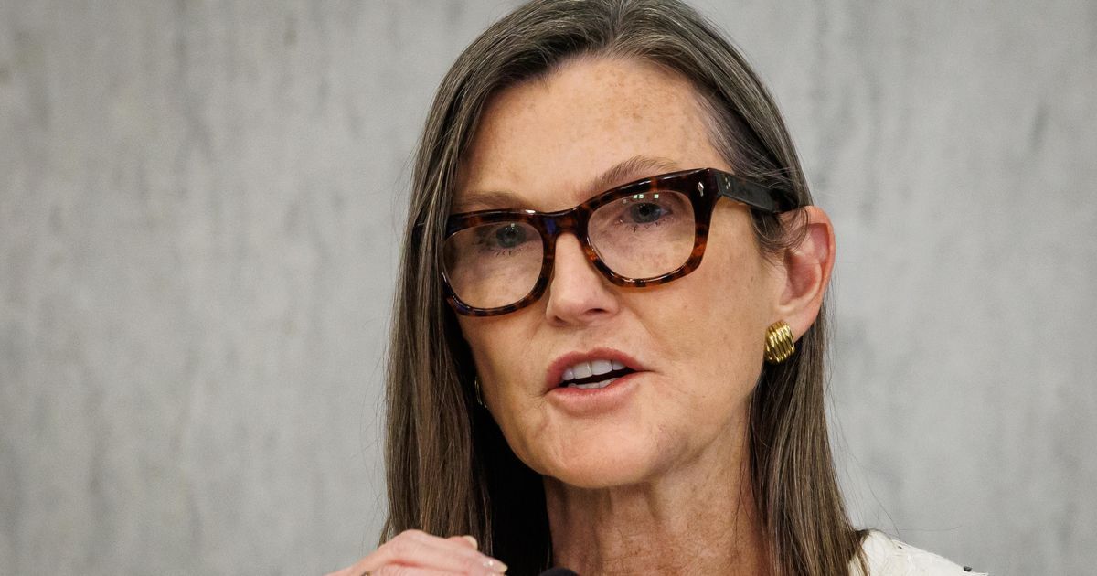 Cathie Wood wirft Chip-Aktien raus &ndash; ARK setzt vermehrt auf diese Wette