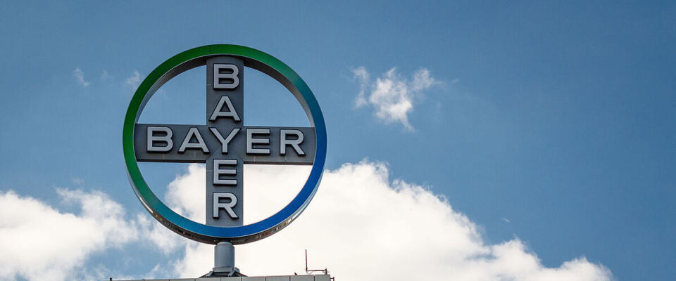 Bayer-Werbung auf dem DOB-Hochhaus